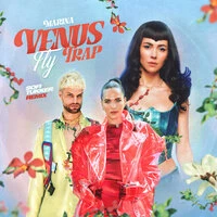 Venus Fly Trap