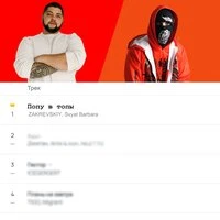 Попу в топы