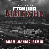 Станция Микунь