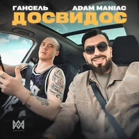 Досвидос