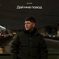 Дай мне повод (Slowed)