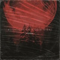 Moonlight On a Сold Night