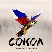 Сокол