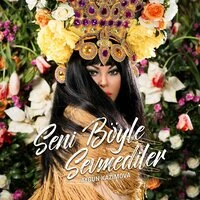Seni Böyle Sevmediler