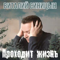 Проходит жизнь