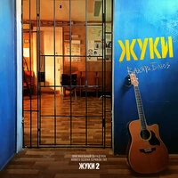 Жуки