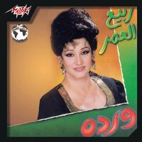 Rabea El Omr
