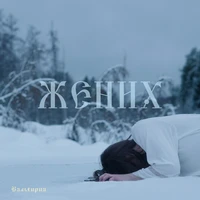 Жених
