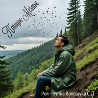 Птицы-Мечты