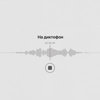 На диктофон
