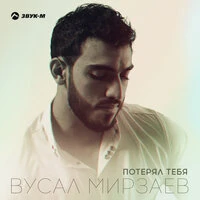 Потерял тебя