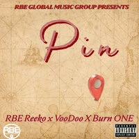 Pin