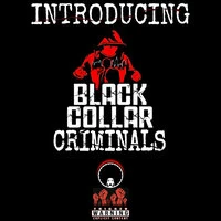 Introducing Black Collar Criminals