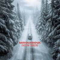 Снегом замело