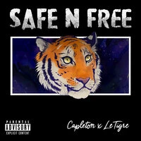 Safe and Free