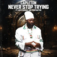 Never Stop Trying