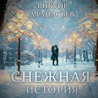 Снежная история