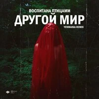 Другой Мир