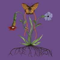 Like A Ribbon