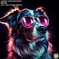 Lost Your Friend Remixes