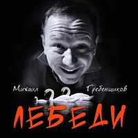 Лебеди