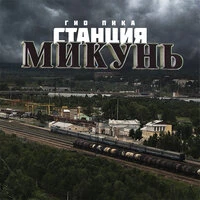 Станция Микунь