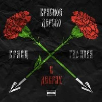 В дебрях