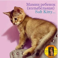 Мамин ребенок (Колыбельная) Soft Kitty...