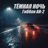 Тëмная ночь