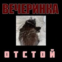 ВЕЧЕРИНКА ОТСТОЙ