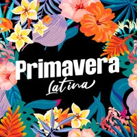 Primavera Latina
