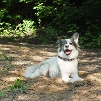 Покажи мне свою пилотку