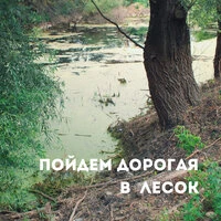 Пойдем дорогая в лесок