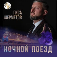 Ночной поезд