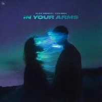 In Your Arms