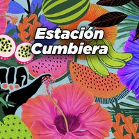 Estación Cumbiera