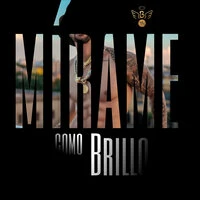 Mírame Como Brillo
