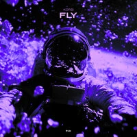 Fly