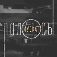 Полосы