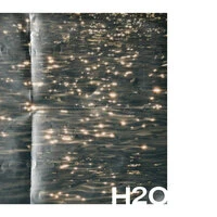 H2O