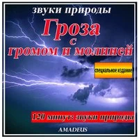 Гроза с громом и молнией: звуки природы: специальное издание