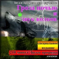 Звуки природы для изучение: Гроза ночью и звук волков: специальное издание