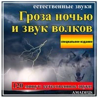 Гроза ночью и звук волков: естественные звуки: специальное издание
