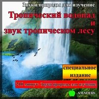 Звуки природы для изучение: Тропический водопад и звук тропическом лесу: специальное издание