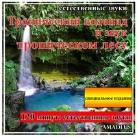 Тропический водопад и звук тропическом лесу: естественные звуки: специальное издание
