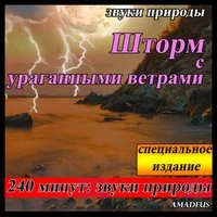 Шторм с ураганными ветрами: звуки природы: 240 минут специальное издание