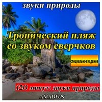 Tропический пляж со звуком сверчков: звуки природы: специальное издание