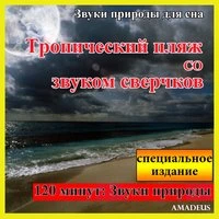 Звуки природы для сна: Tропический пляж со звуком сверчков: специальное издание