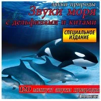 Звуки моря с дельфинами и китами: звуки природы: специальное издание