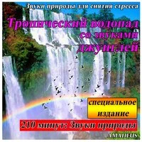 Звуки природы для снятия стресса: Тропический водопад со звуками джунглей: специальное издание